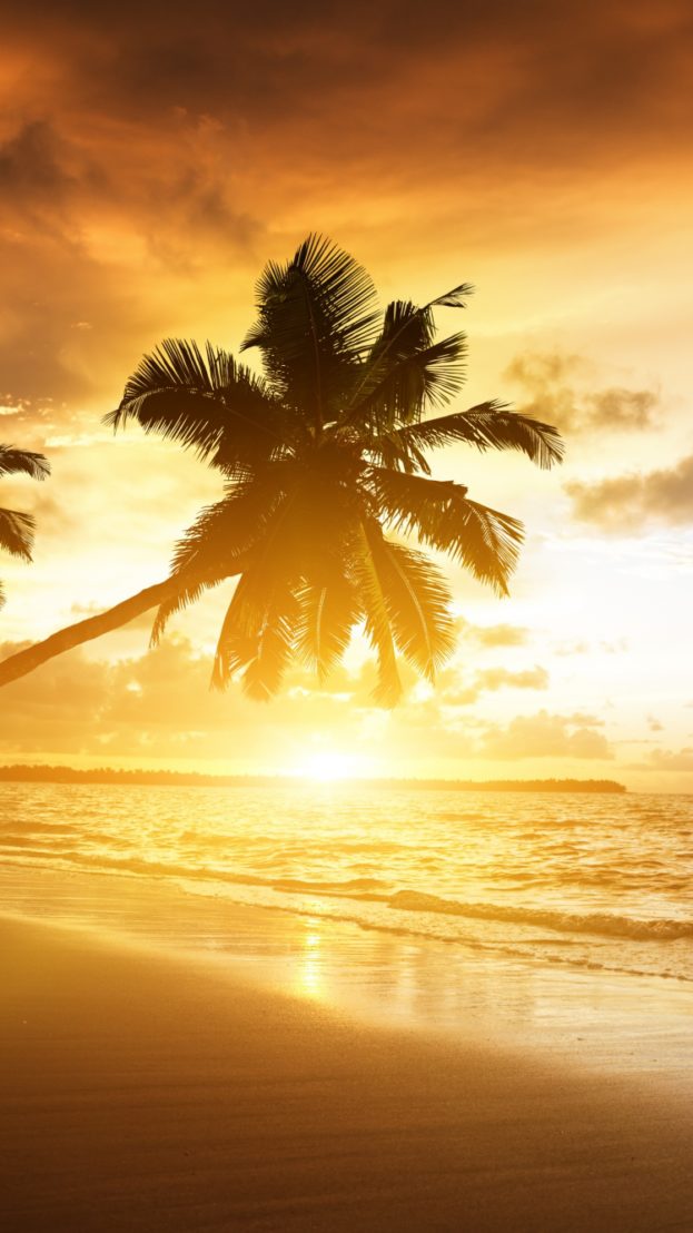 صورة غروب الشمس على الشاطئ خلفيات ايفون iPhone 6, iPhone 7, 750x1334 - صور خلفيات عالية الدقة HD Wallpapers
